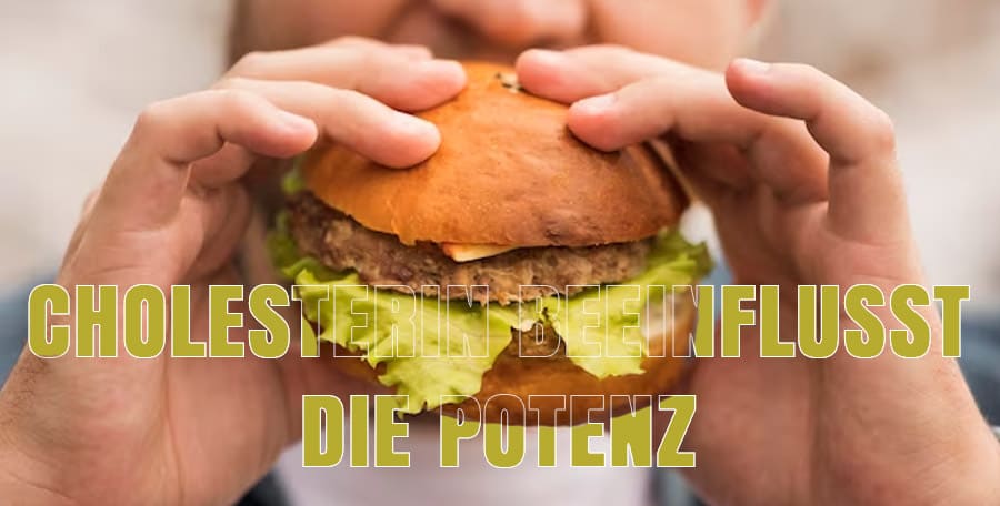 Cholesterin beeinflusst die Potenz